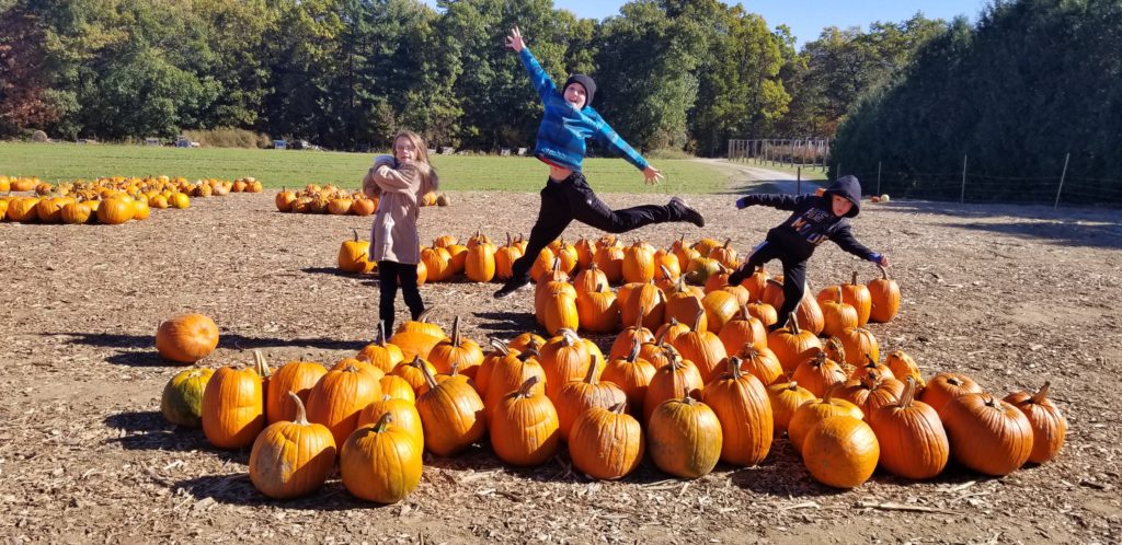 pumpkin patch