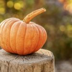 Simple pumpkin crafts