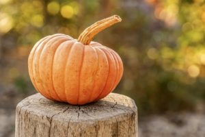 Simple pumpkin crafts