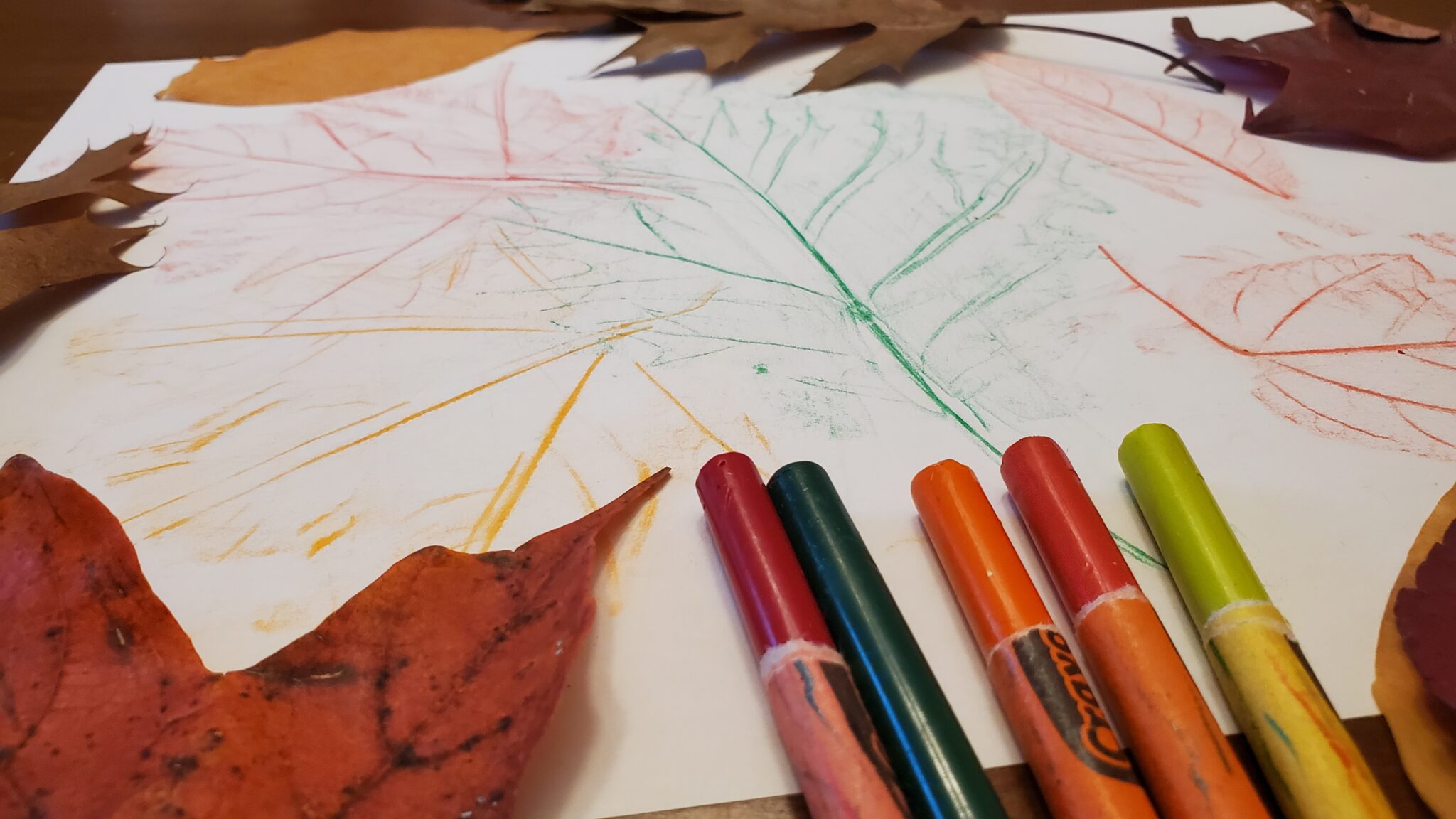 SIMPLE AND FUN ART CRAFT WITH LEAF RUBBING - Bloggy Momma