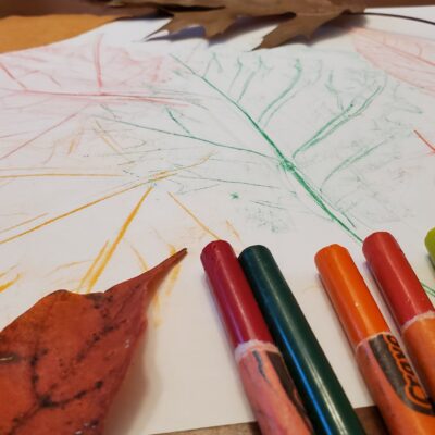 SIMPLE AND FUN ART CRAFT WITH LEAF RUBBING